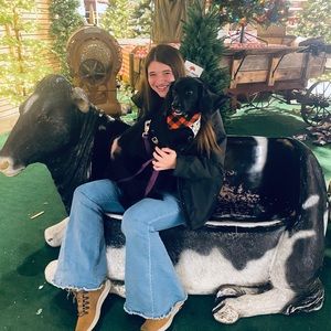 Meet your Posher, Sydney